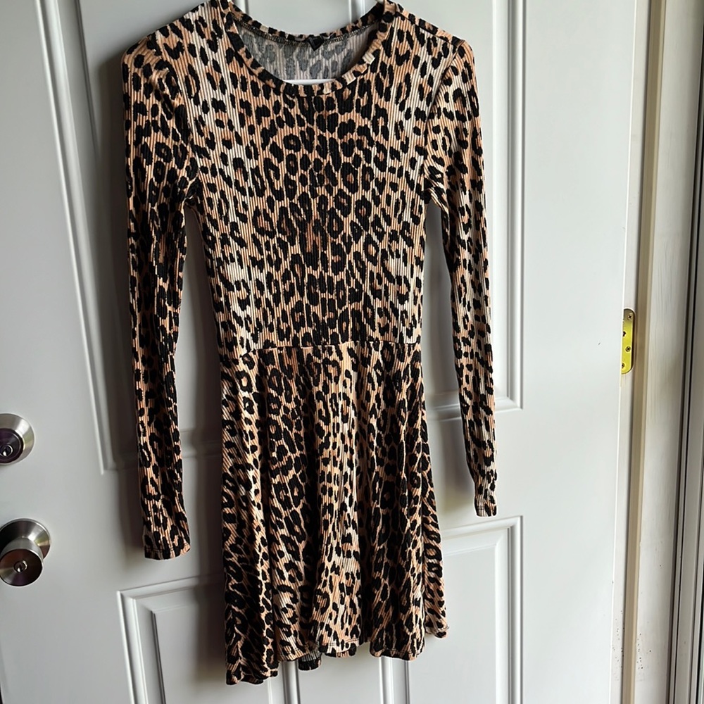 One ladies long sleeve leopard print dress.